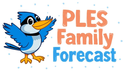 FF image