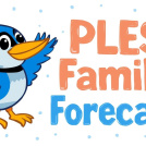FF image